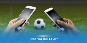 Kèo Tài Xỉu Là Gì? Cách Chơi Đơn Giản Bậc Nhất 2024